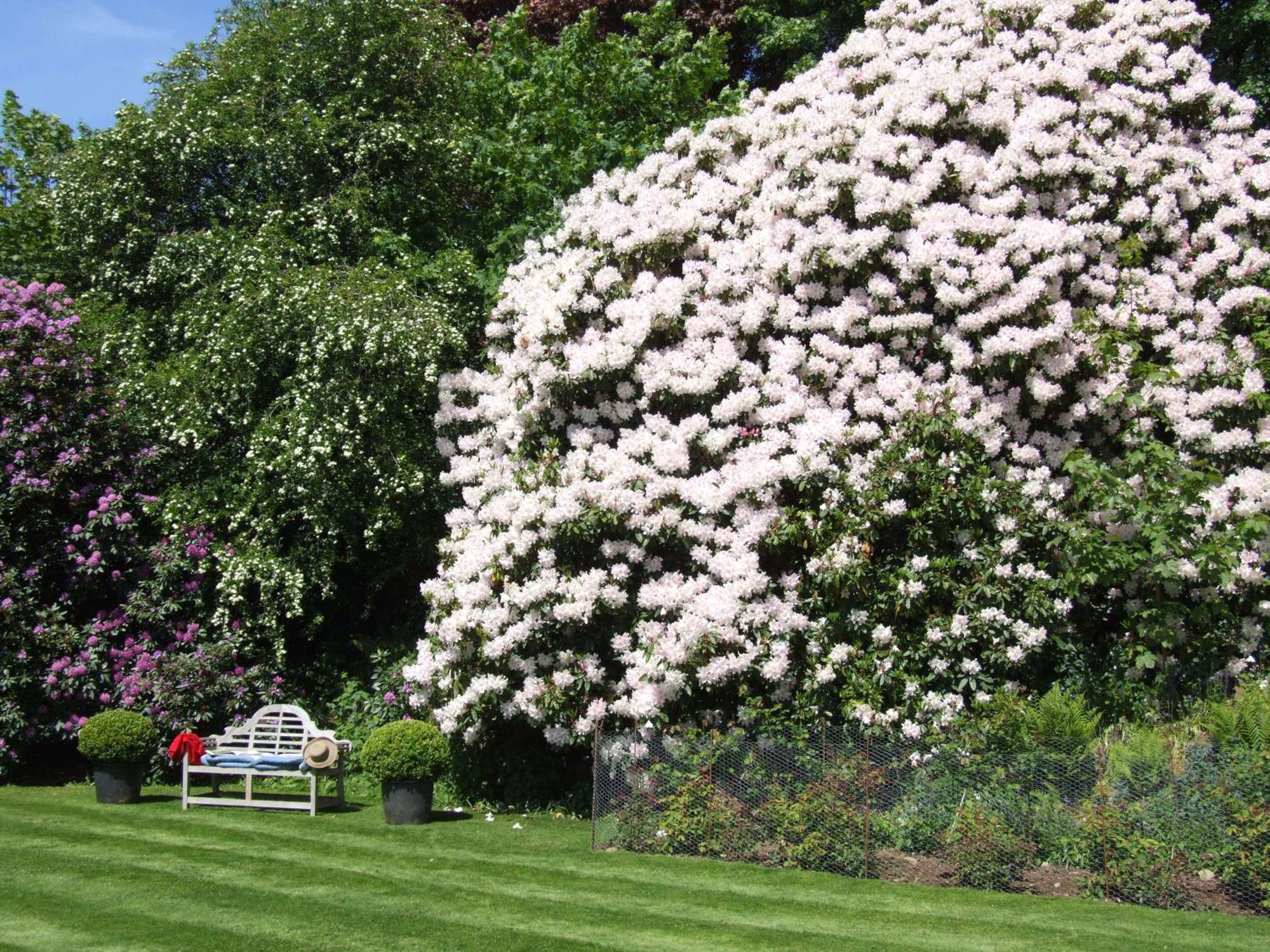 Kinloch House Hotel Blairgowrie and Rattray Exteriér fotografie